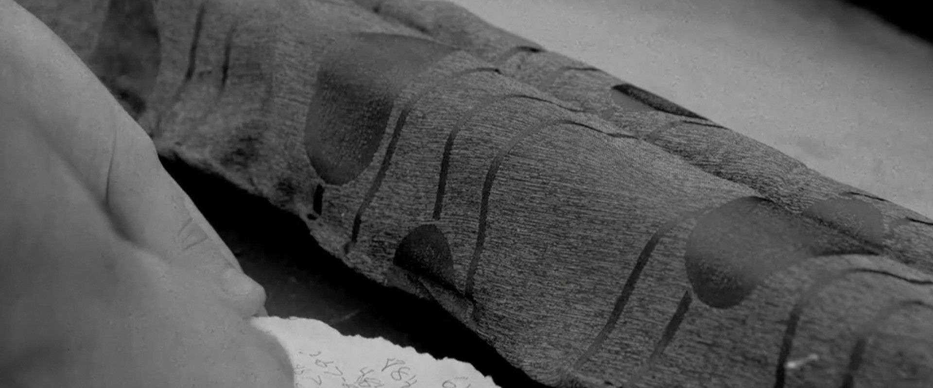 My Couch's banner image