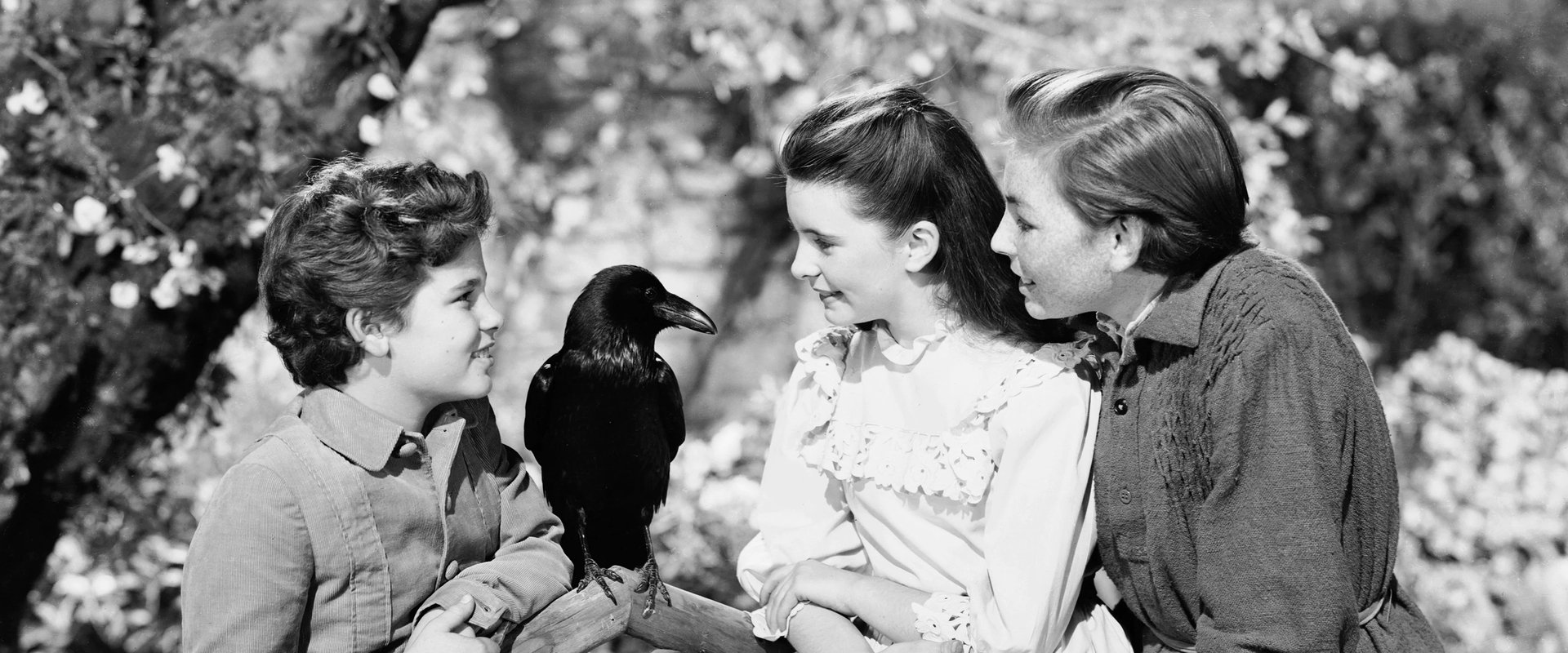 The Secret Garden