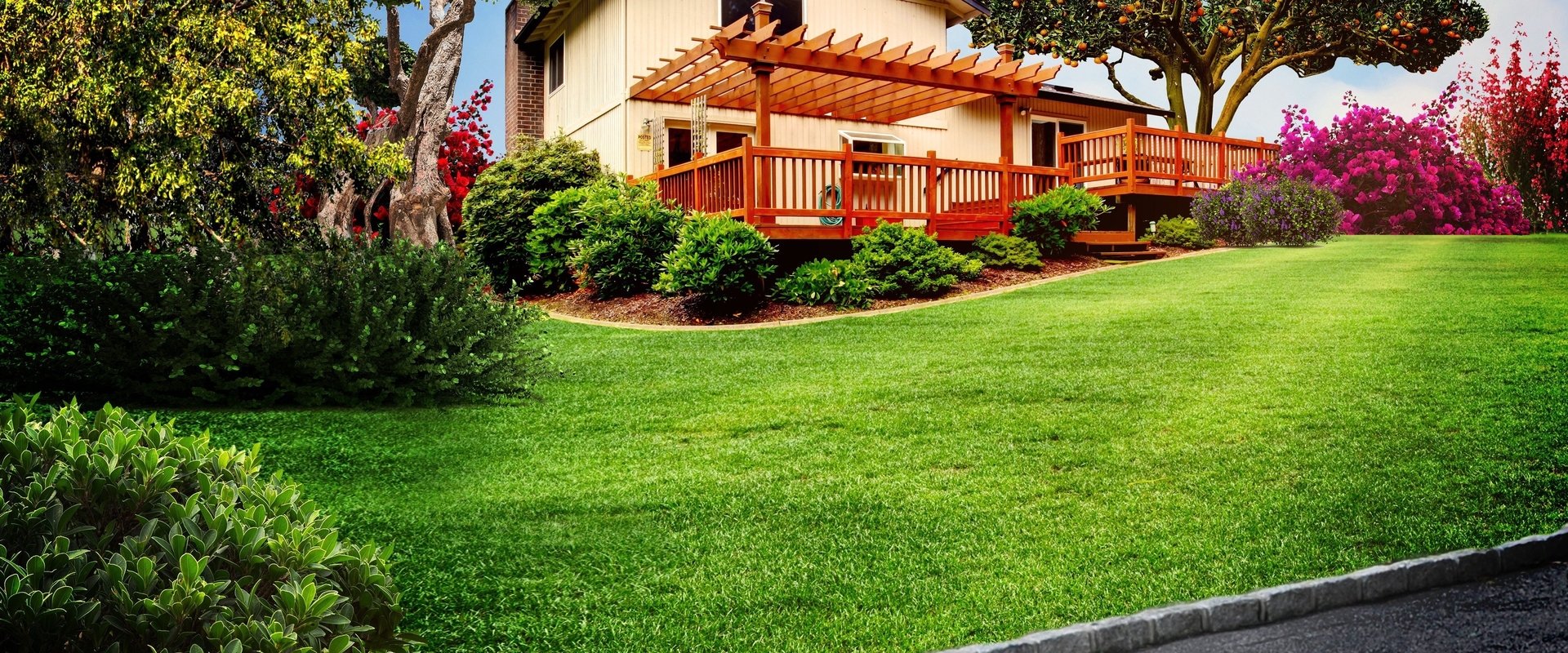 Curb Appeal Xtreme