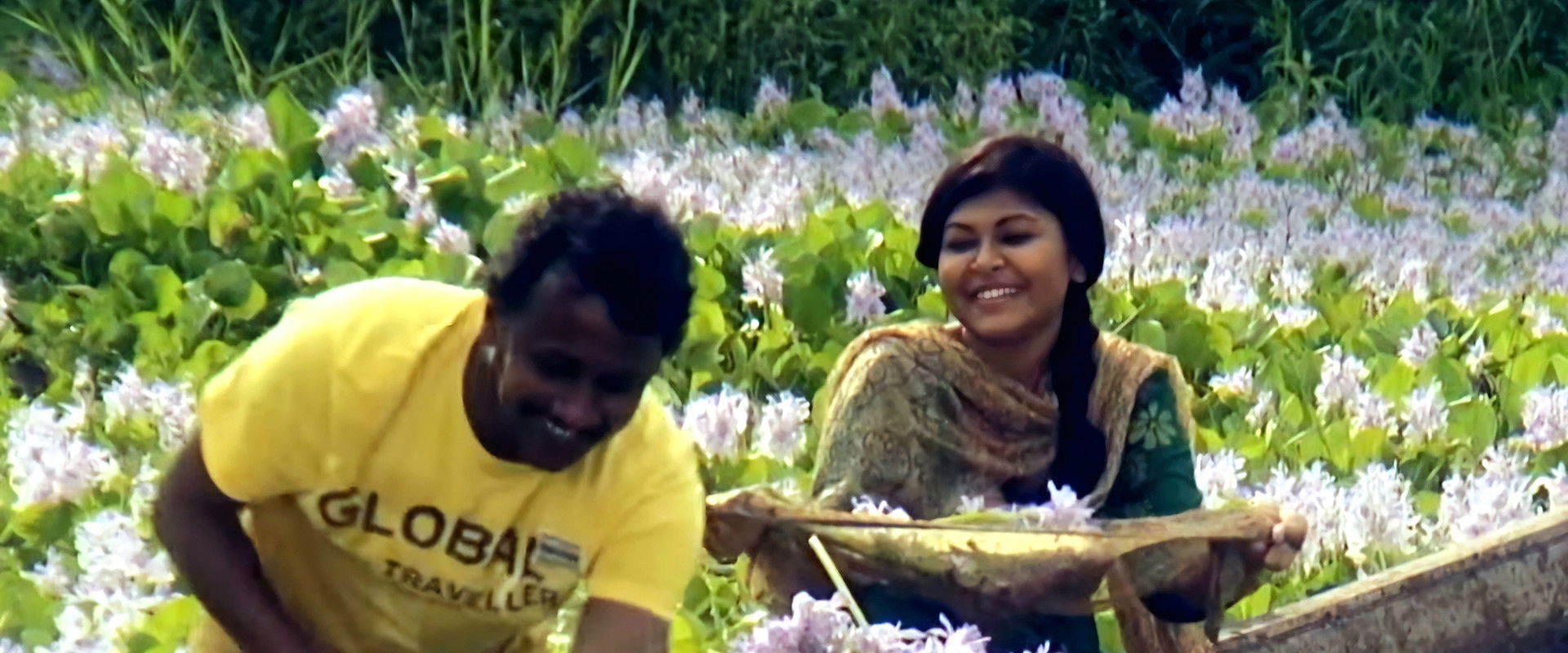 The Director's banner image