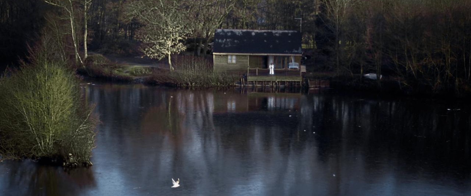 House on Elm Lake