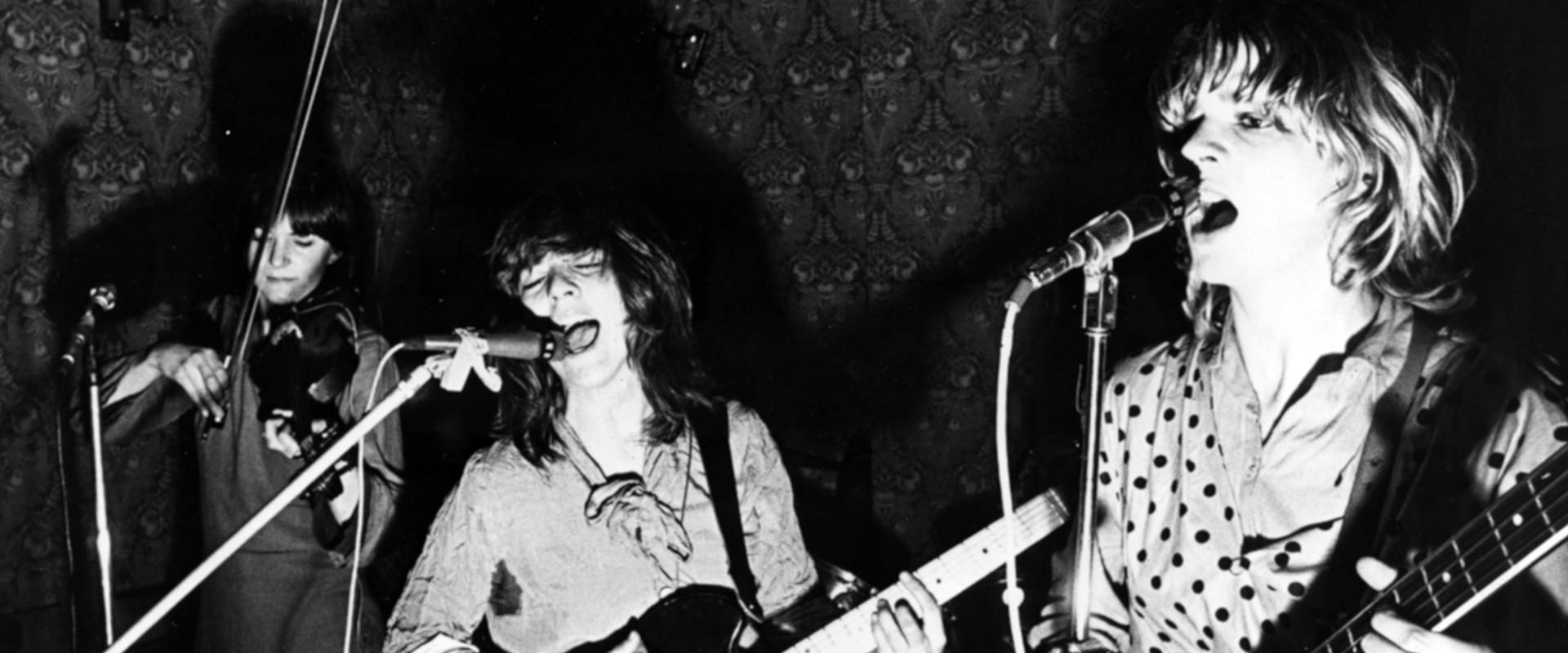 Punk Girls - Die weibliche Geschichte des britischen Punk's banner image