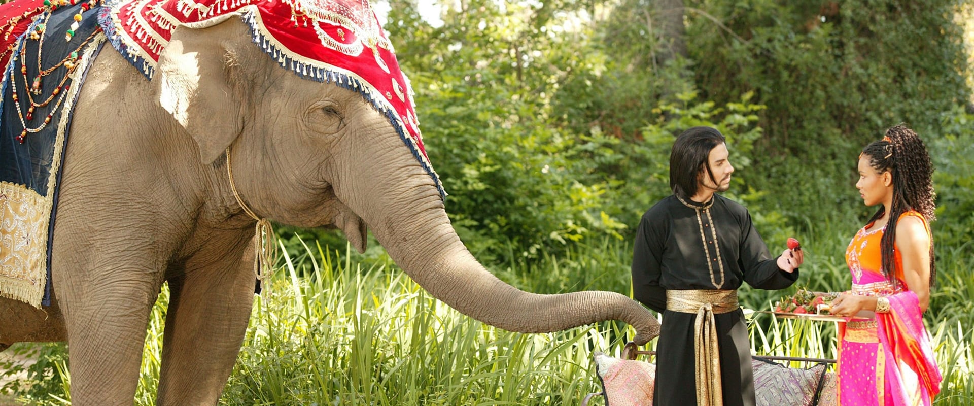 Elephant Princess