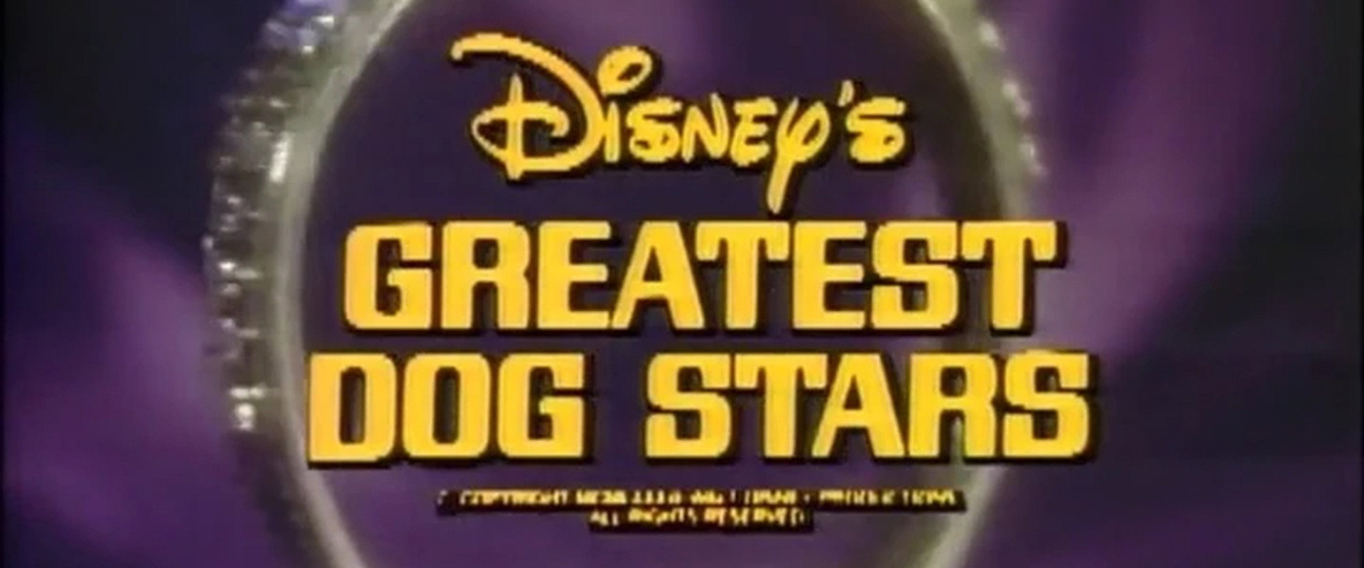 Disney's Greatest Dog Stars