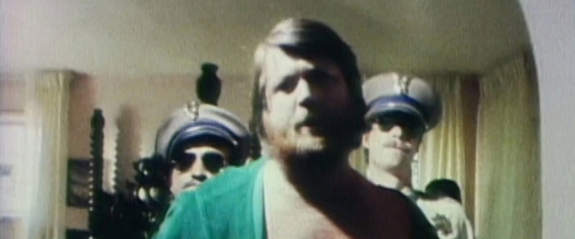 The Beach Boys: It's OK