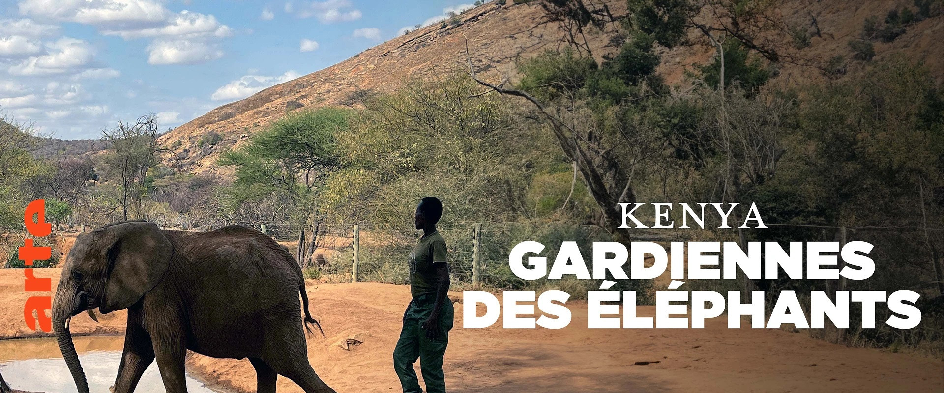 Elephant Guardians of Kenya