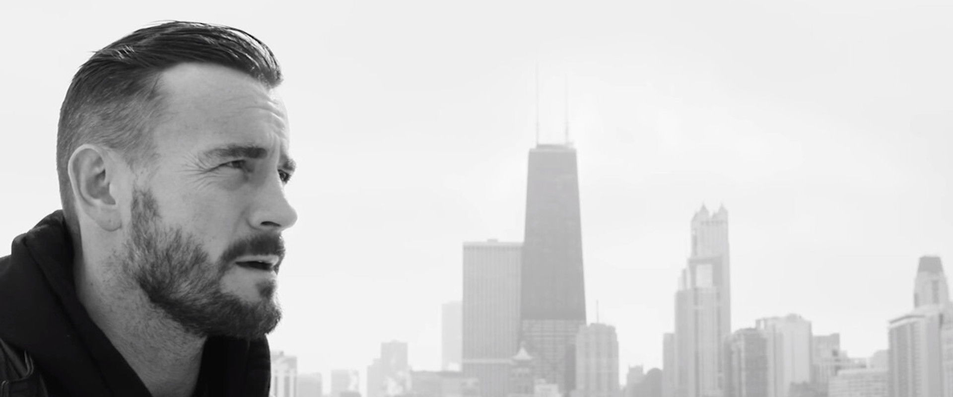 The Evolution of Punk's banner image