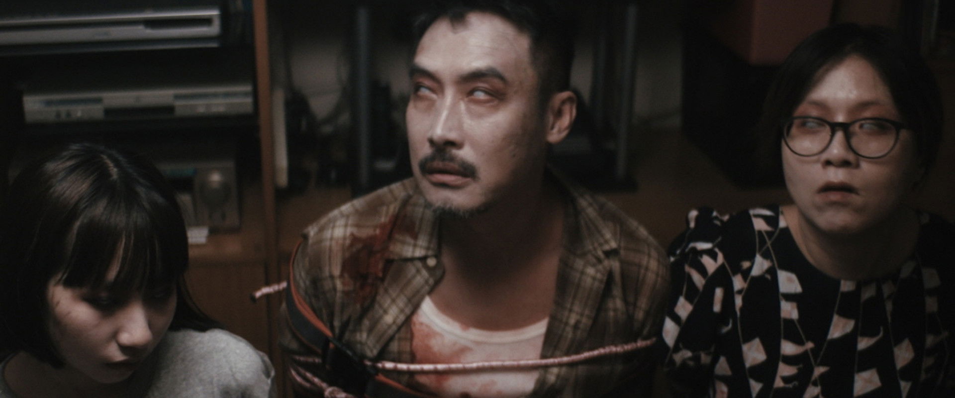 Zombies in the House's banner image