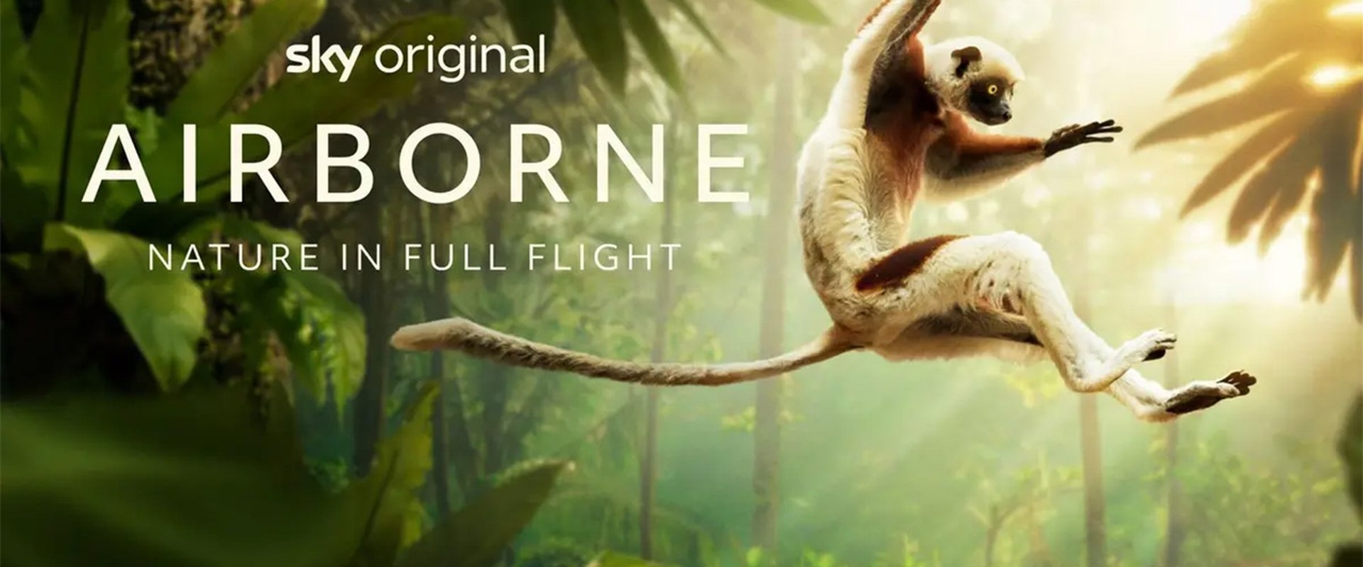 Airborne