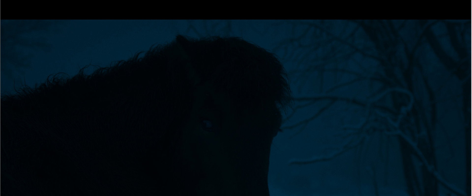 Kosmos's banner image