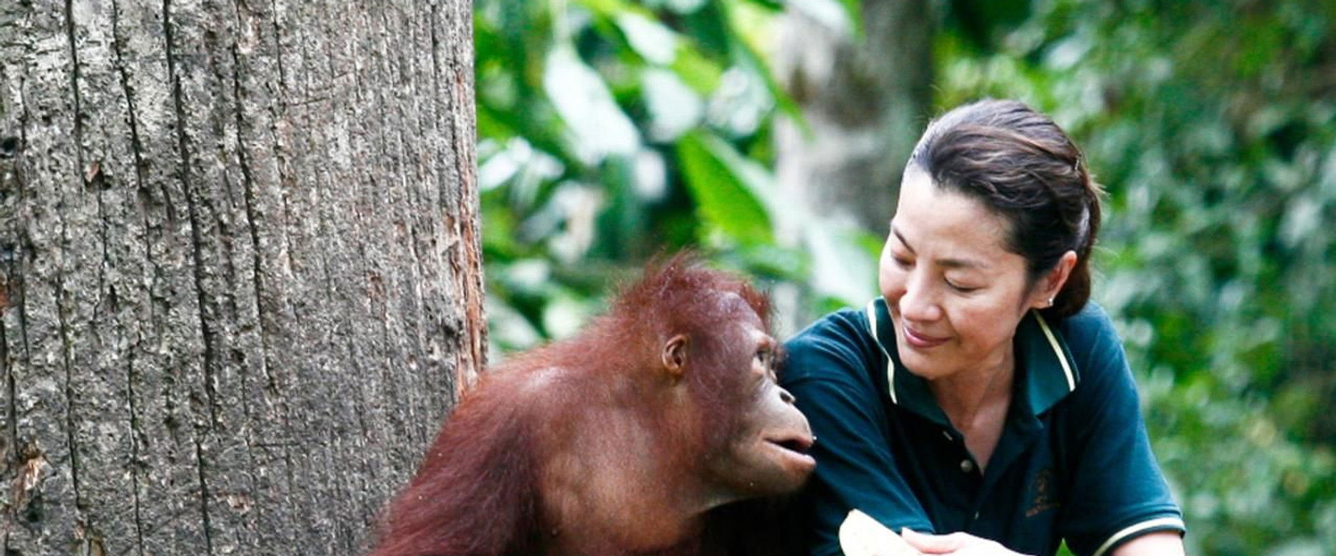 Among the Great Apes with Michelle Yeoh's banner image