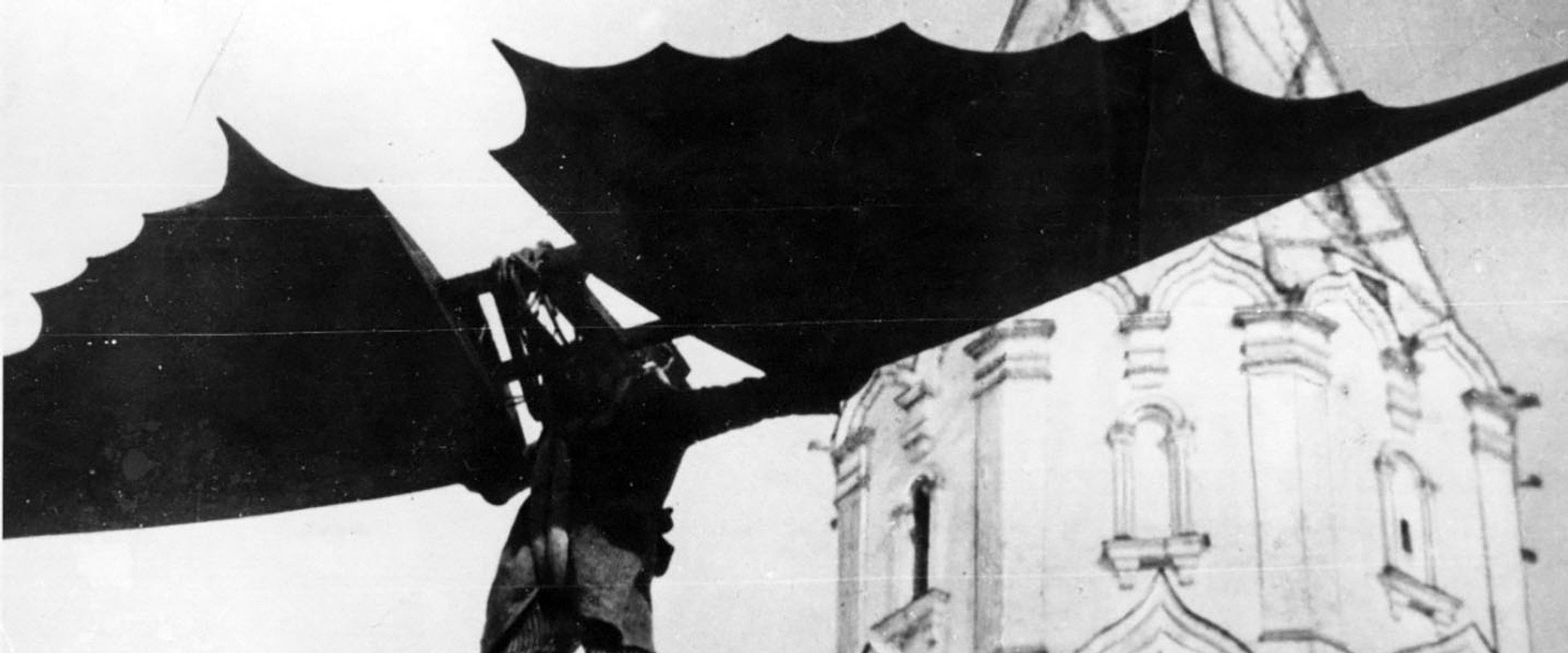 Крылья холопа