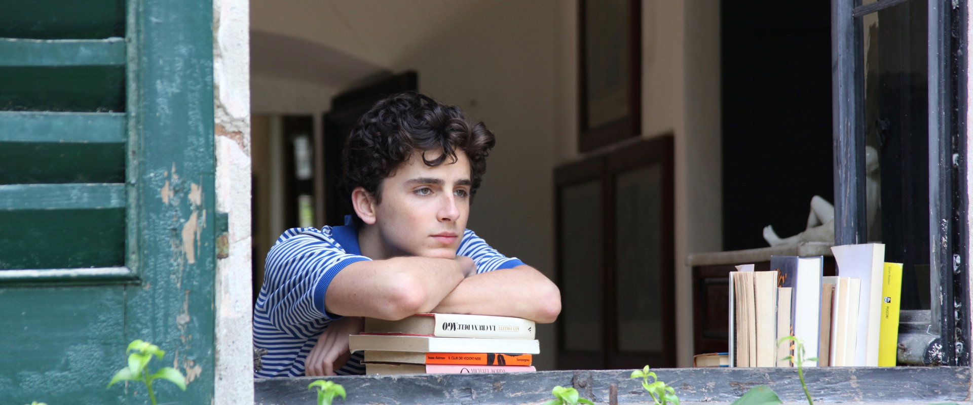 Call Me by Your Name's banner image