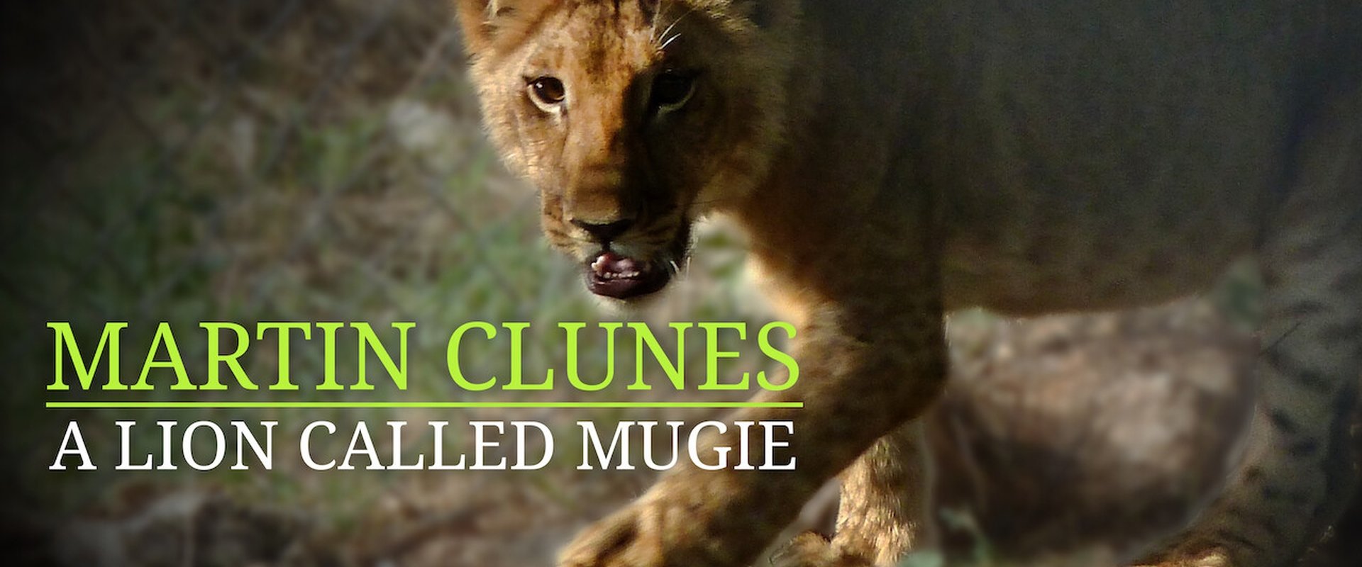Martin Clunes & a Lion Called Mugie