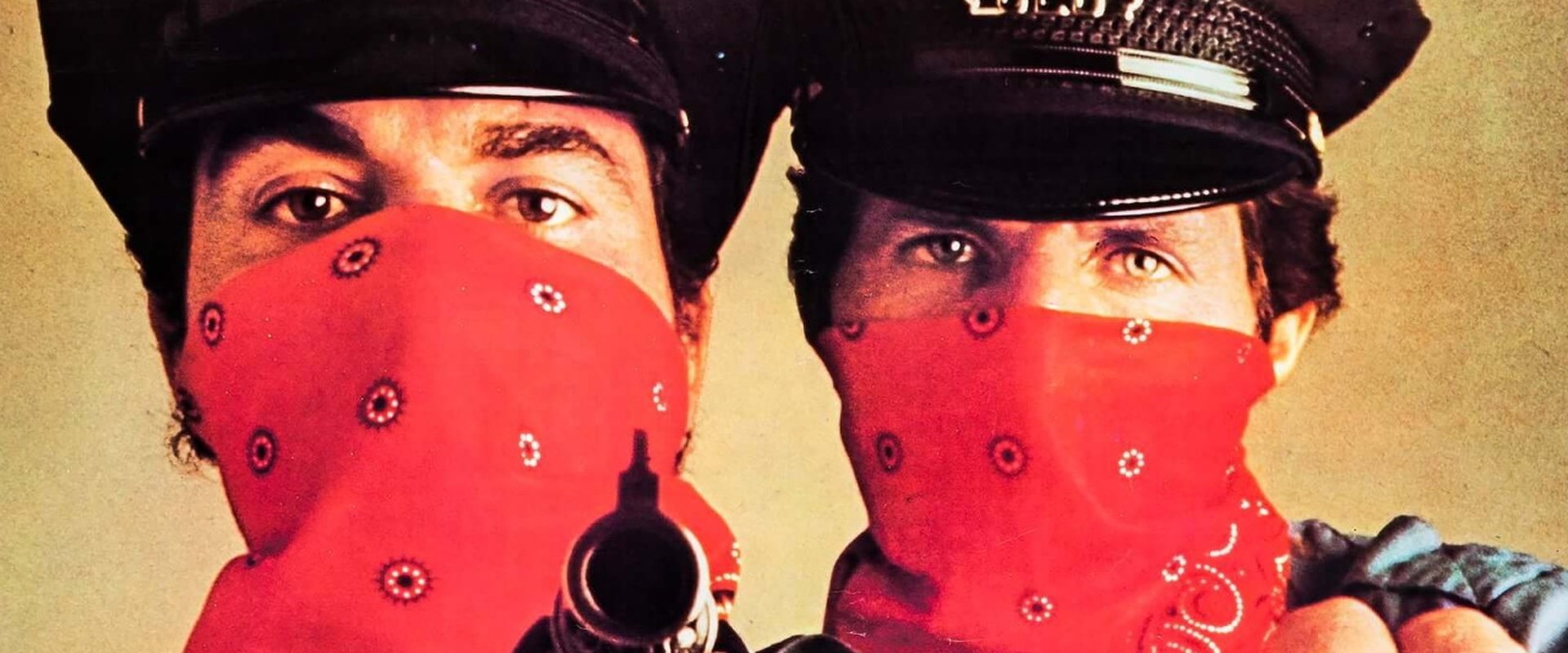 Cops and Robbers