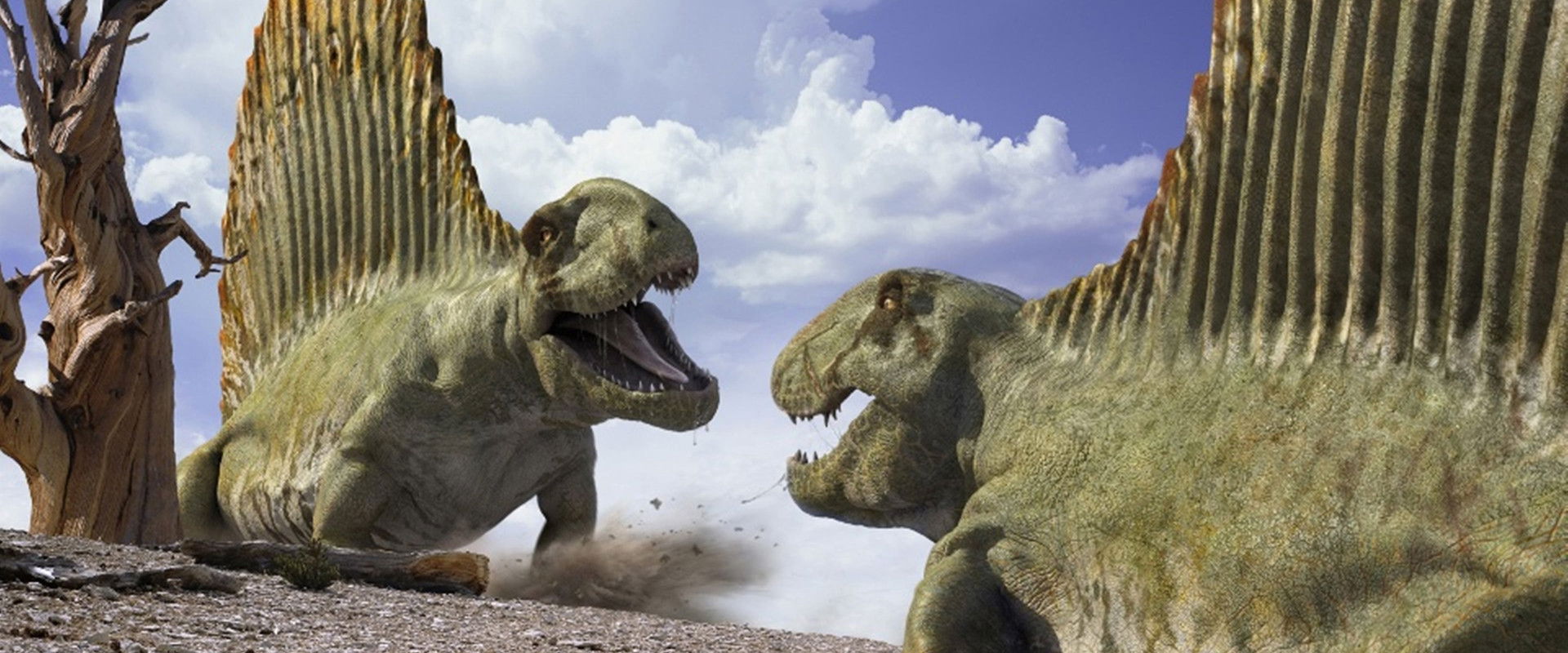 Walking with Monsters