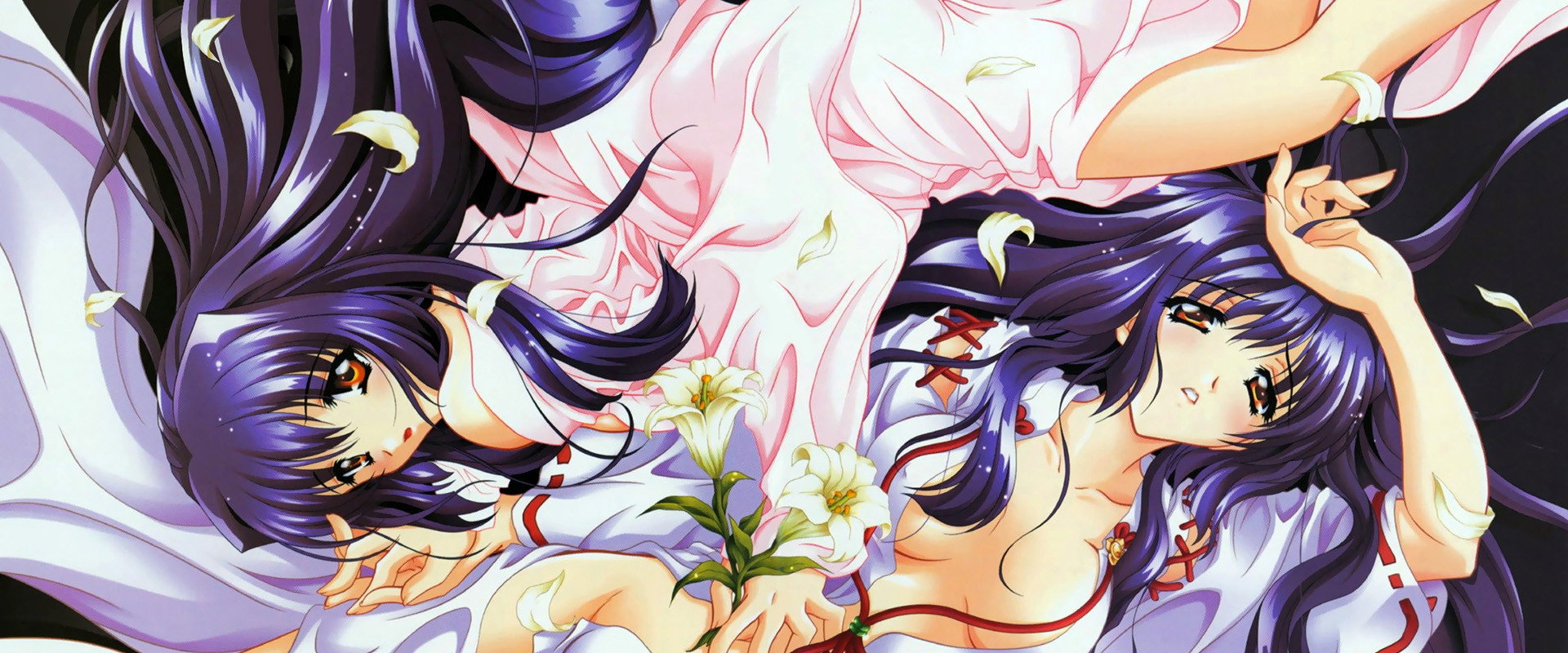 Moonlight Lady's banner image