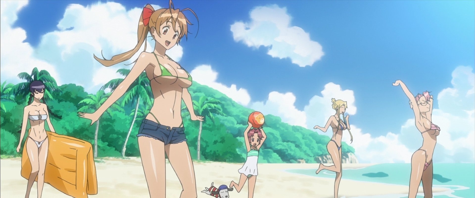 High School of the Dead: Drifters of the Dead