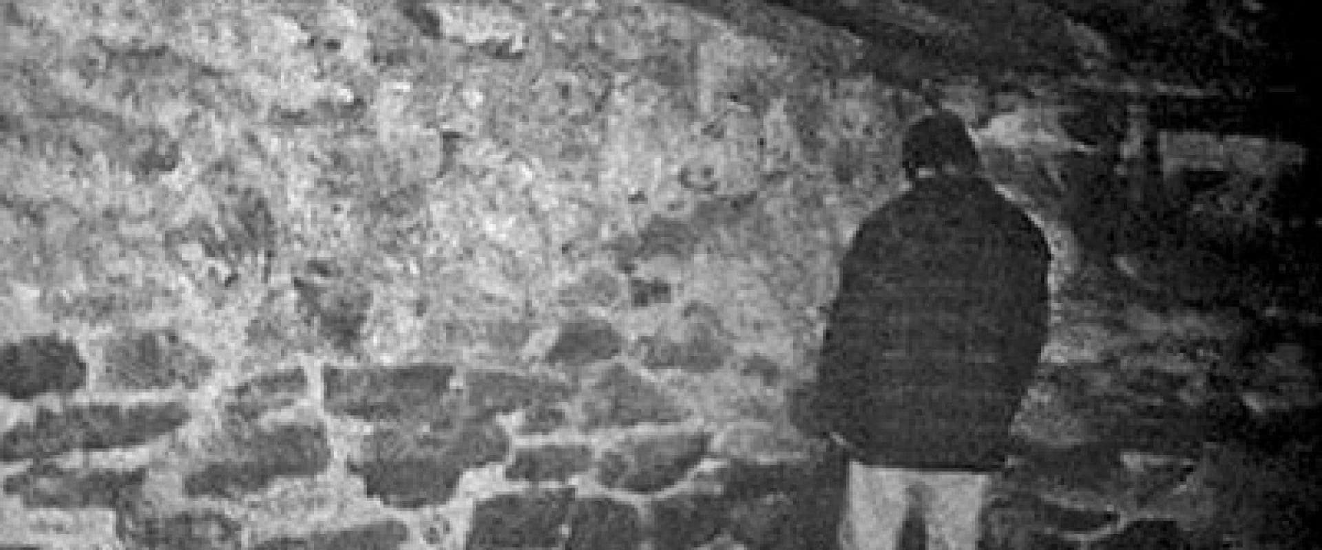 The Blair Witch Project - Il mistero della strega di Blair