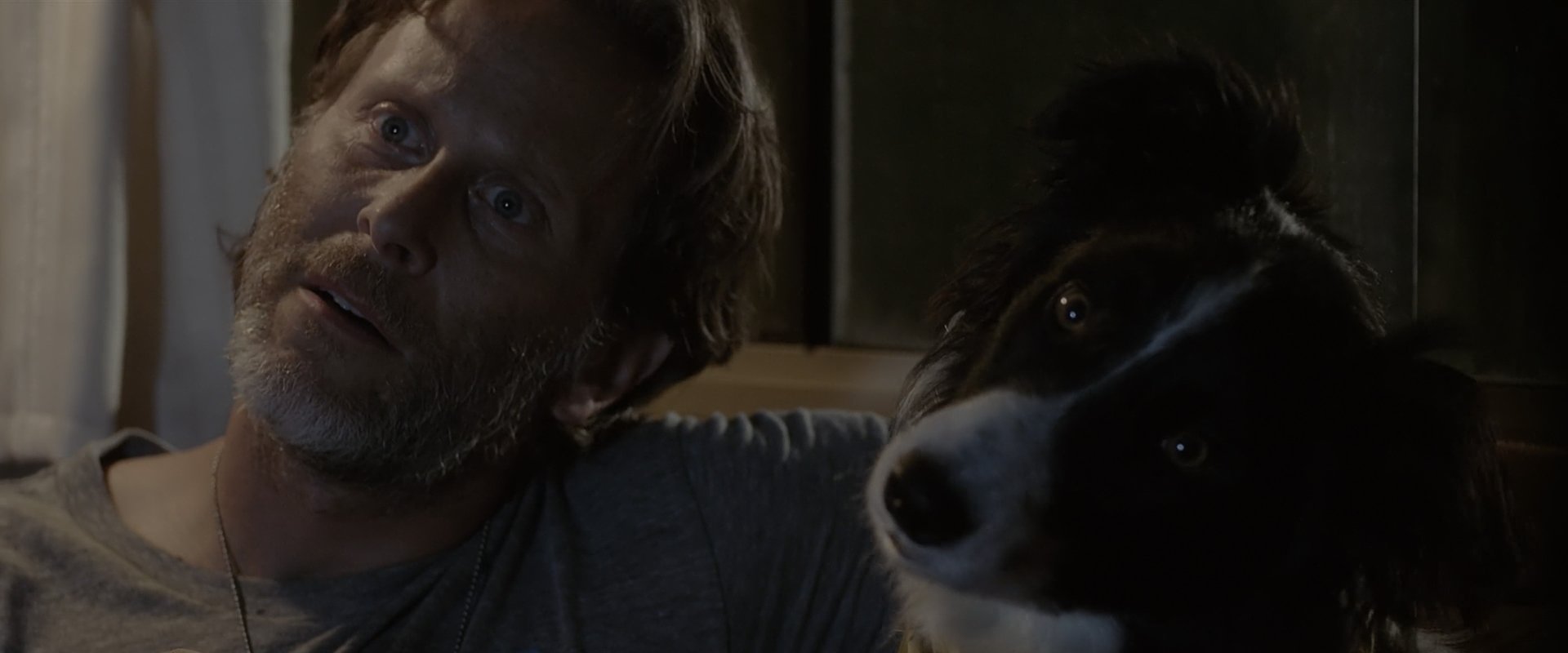 A Dog Named Duke