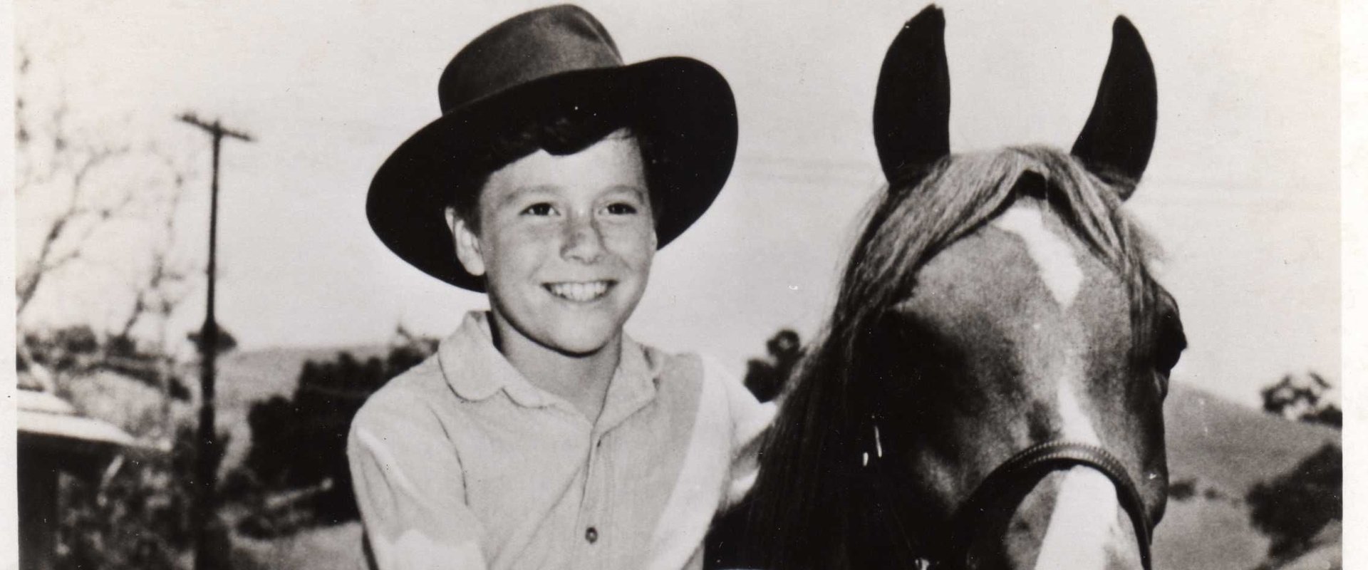 My Friend Flicka