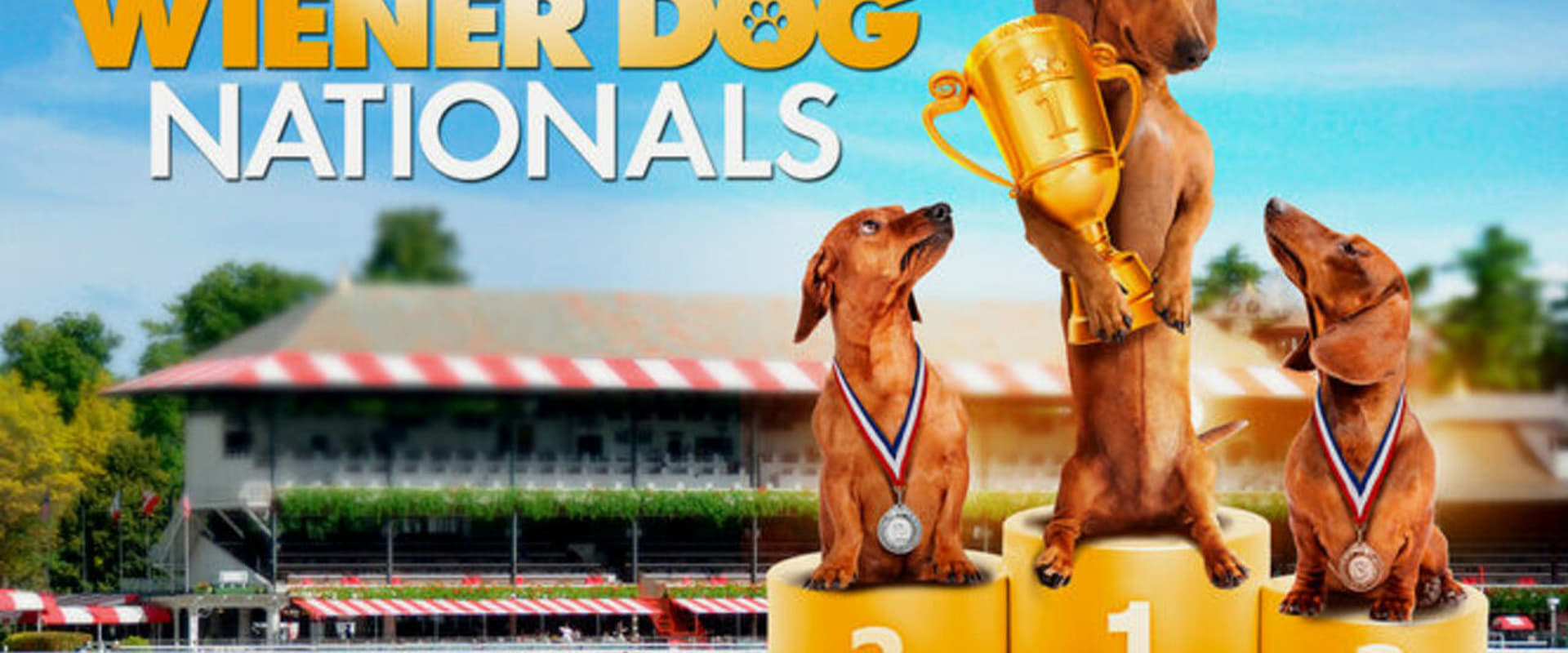 Wiener Dog Nationals