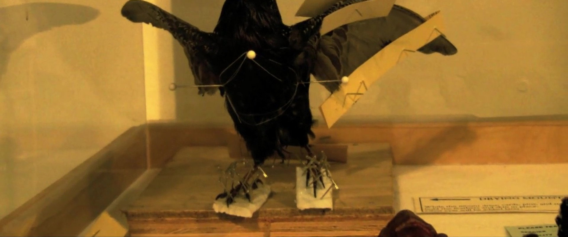 The Last Flesh & Blood Show