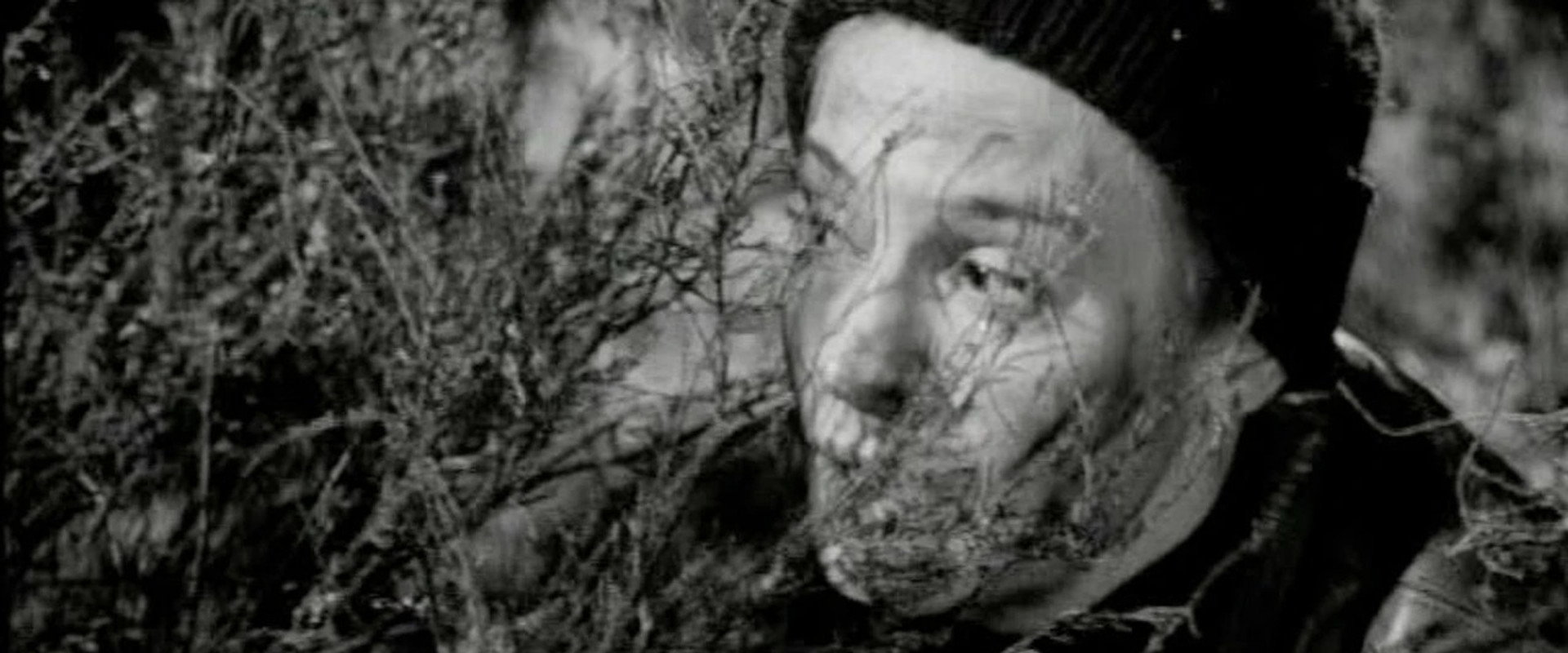 Espionage's banner image