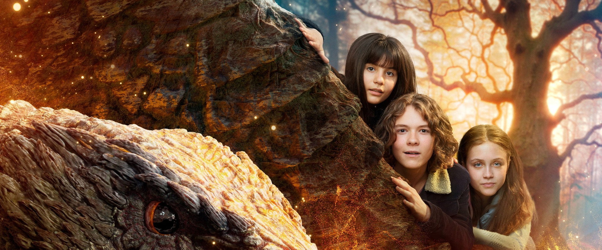 Valdes Jul - Vintermiraklet