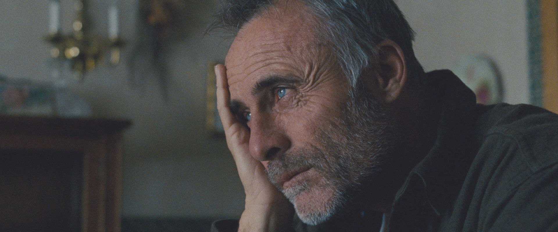 LOOMS's banner image