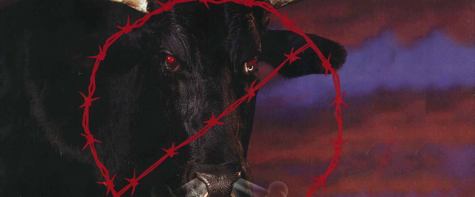 WCW Spring Stampede 1998's banner image