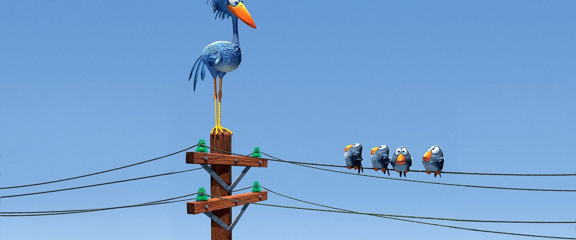 For the Birds