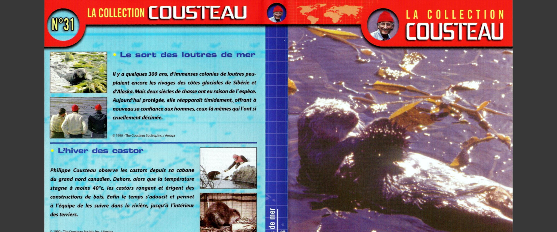 The Cousteau Collection N°31-1 | The Fate of Sea Otters's banner image