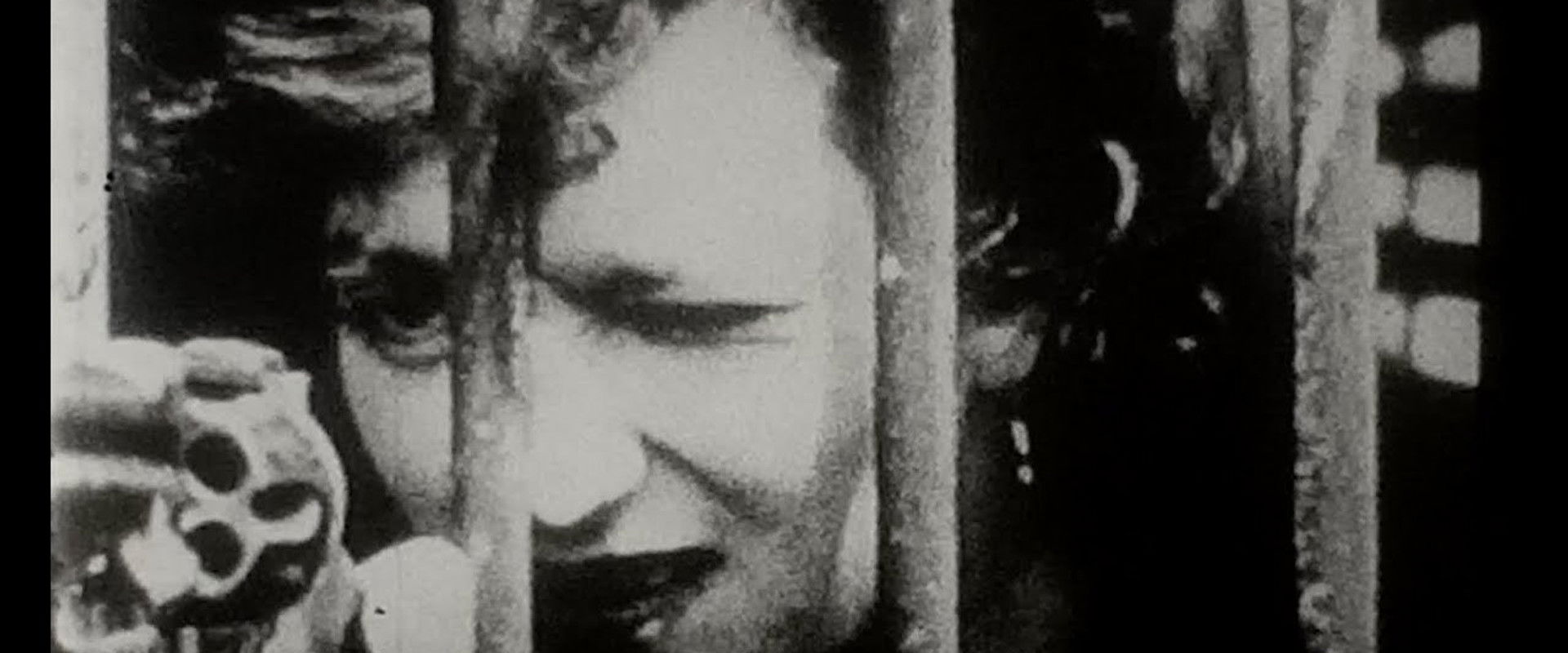 The Pay Train's banner image