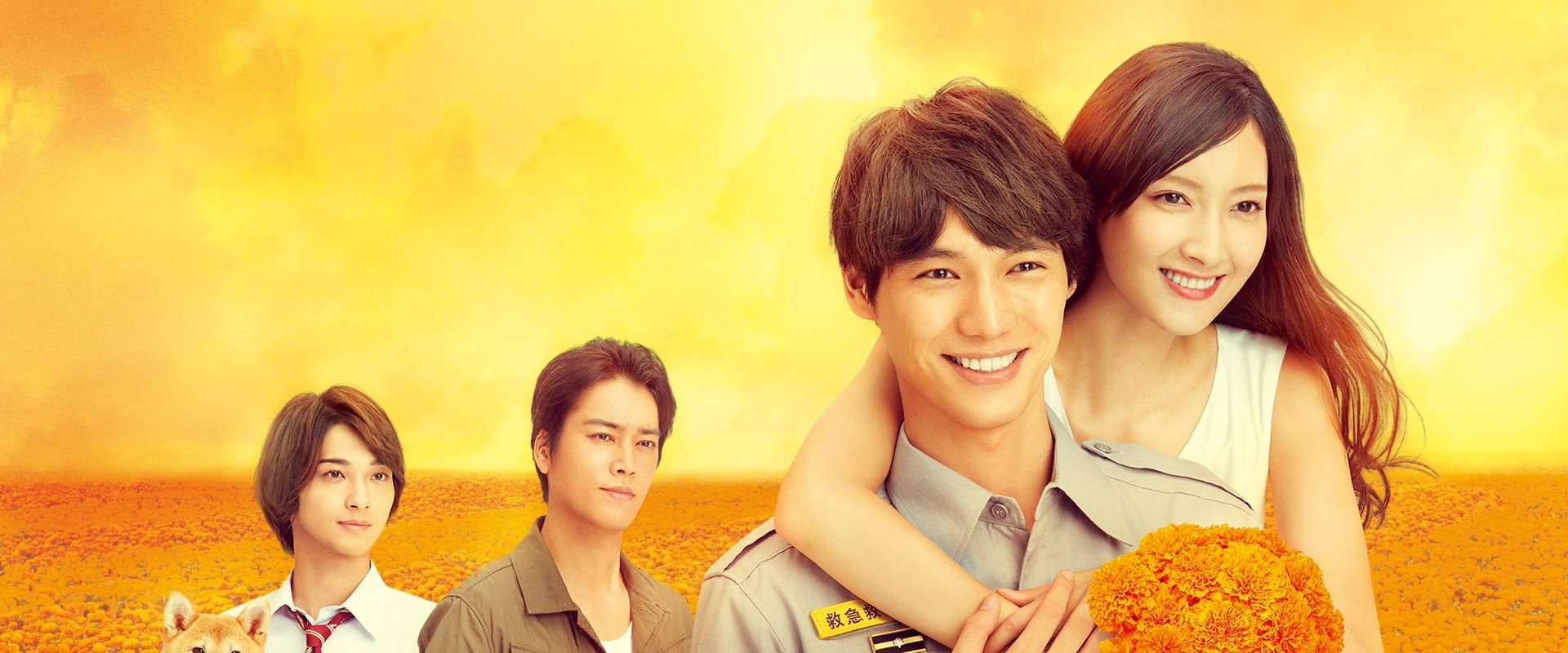 Marigold in 4 Minutes