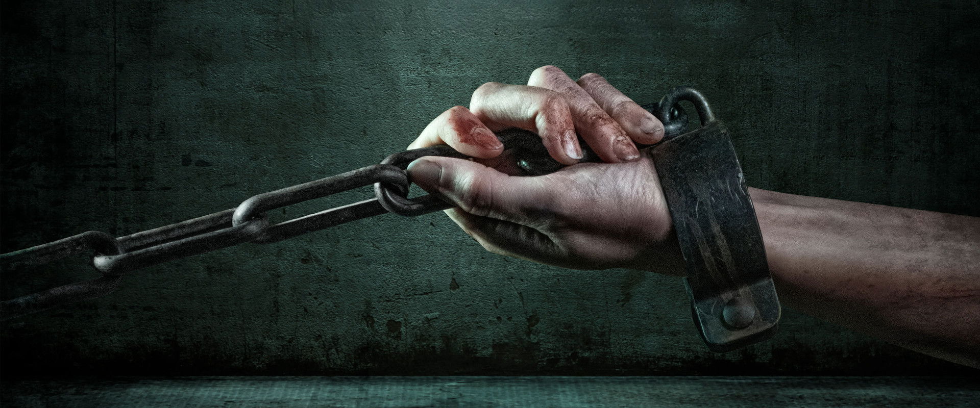 The Purple Network's banner image