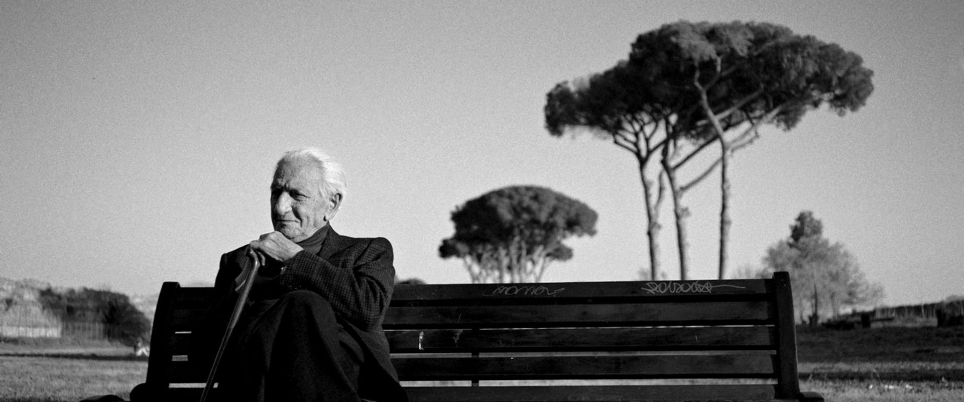 The Treasure of His Youth: The Photographs of Paolo Di Paolo's banner image