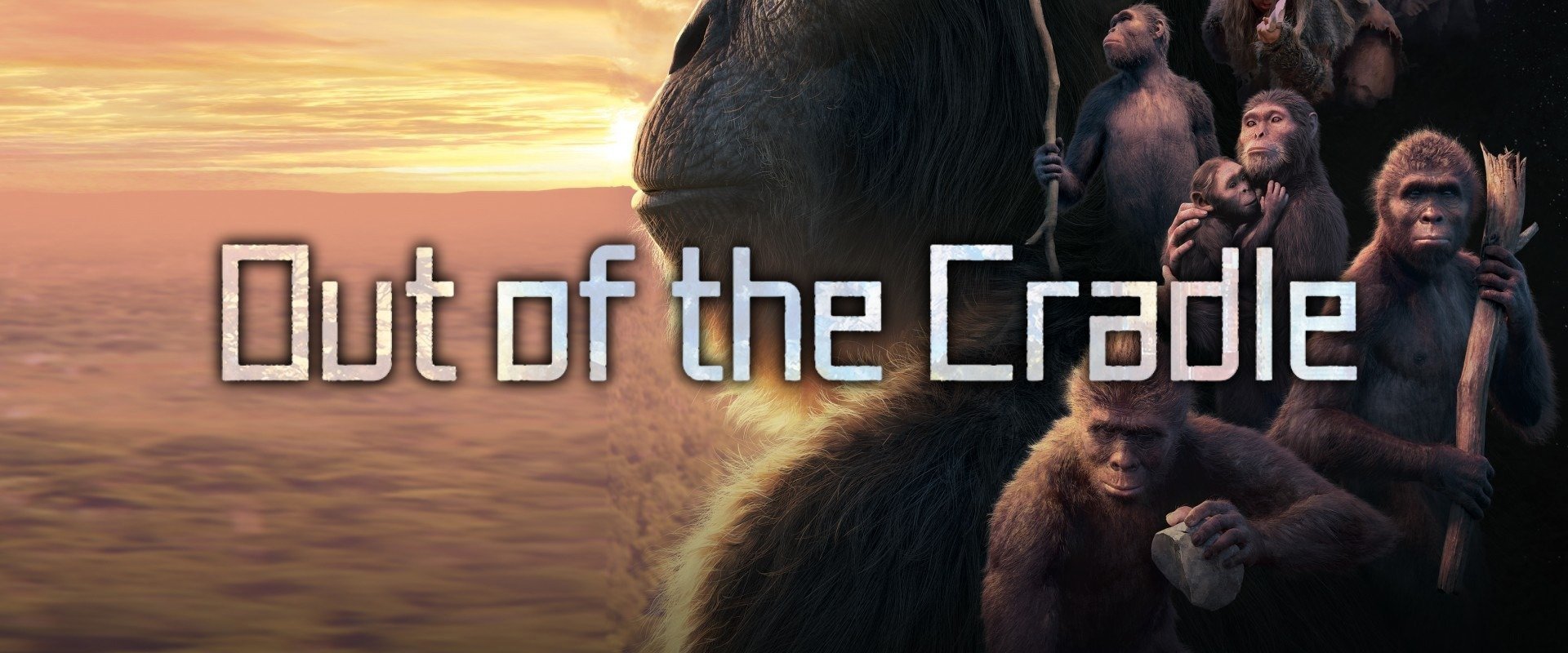 Out of the Cradle