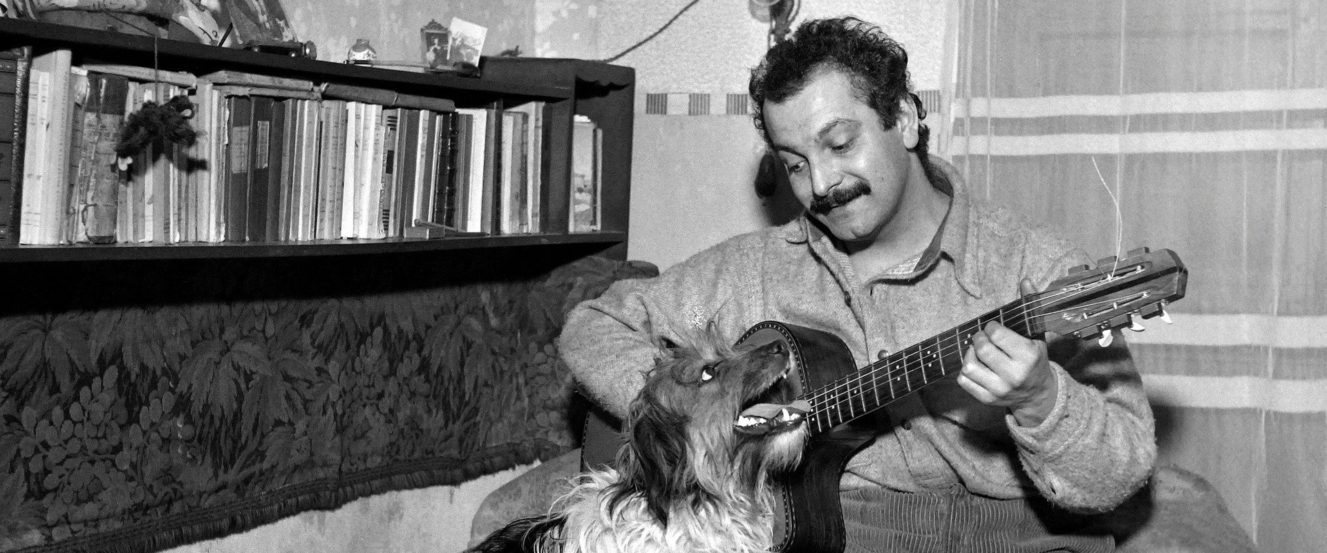 Le regard de Georges Brassens's banner image