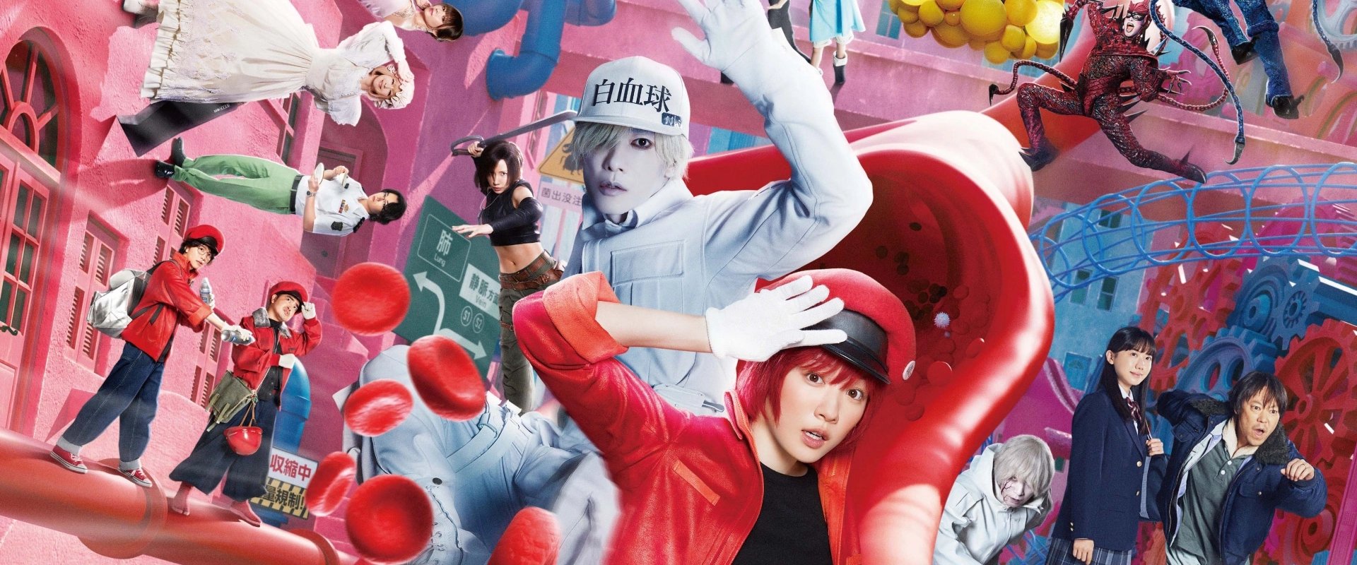 Cells at Work! Watch Party | Teleparty