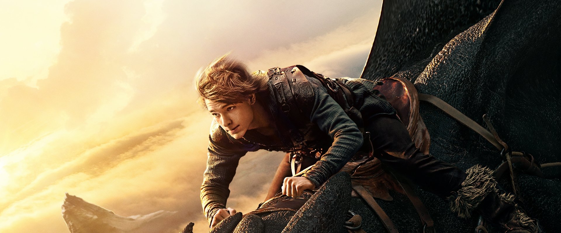 How to Train Your Dragon