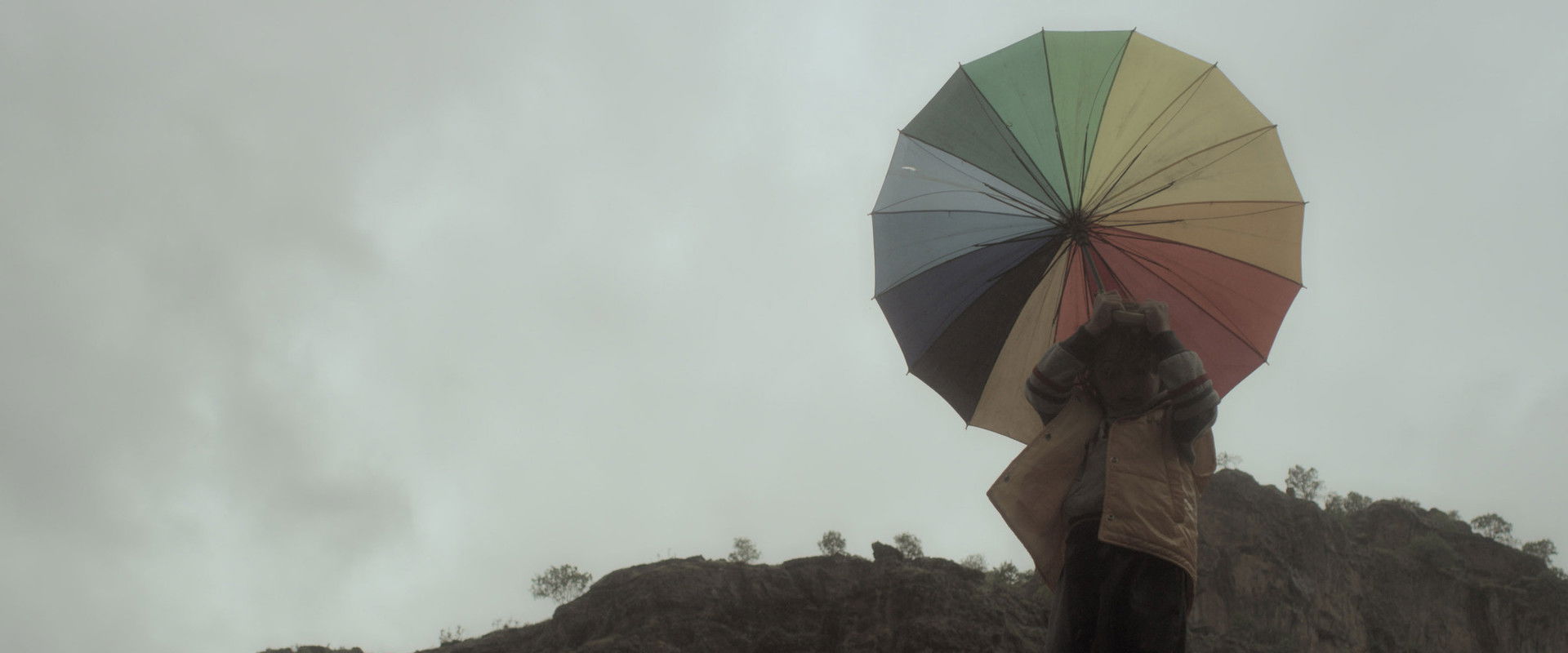 A Flag Without a Country's banner image