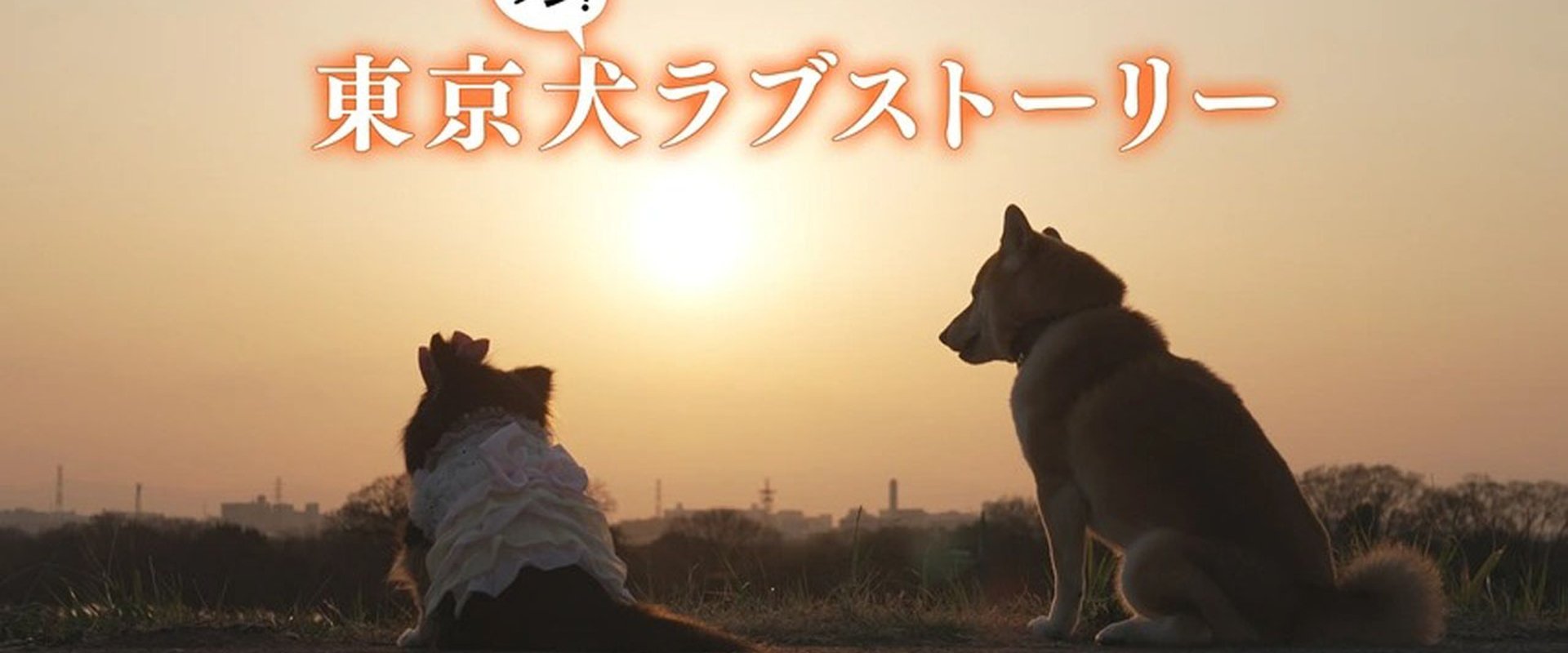 Tokyo Dog Love Story