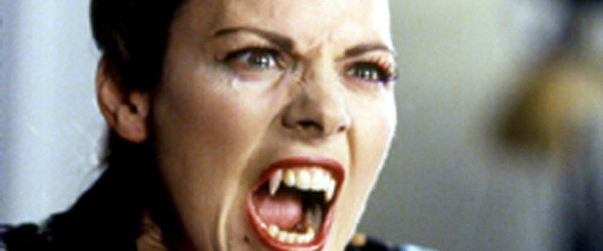 Modern Vampires's banner image