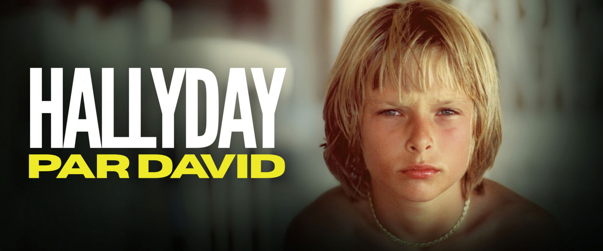 Hallyday par David's banner image