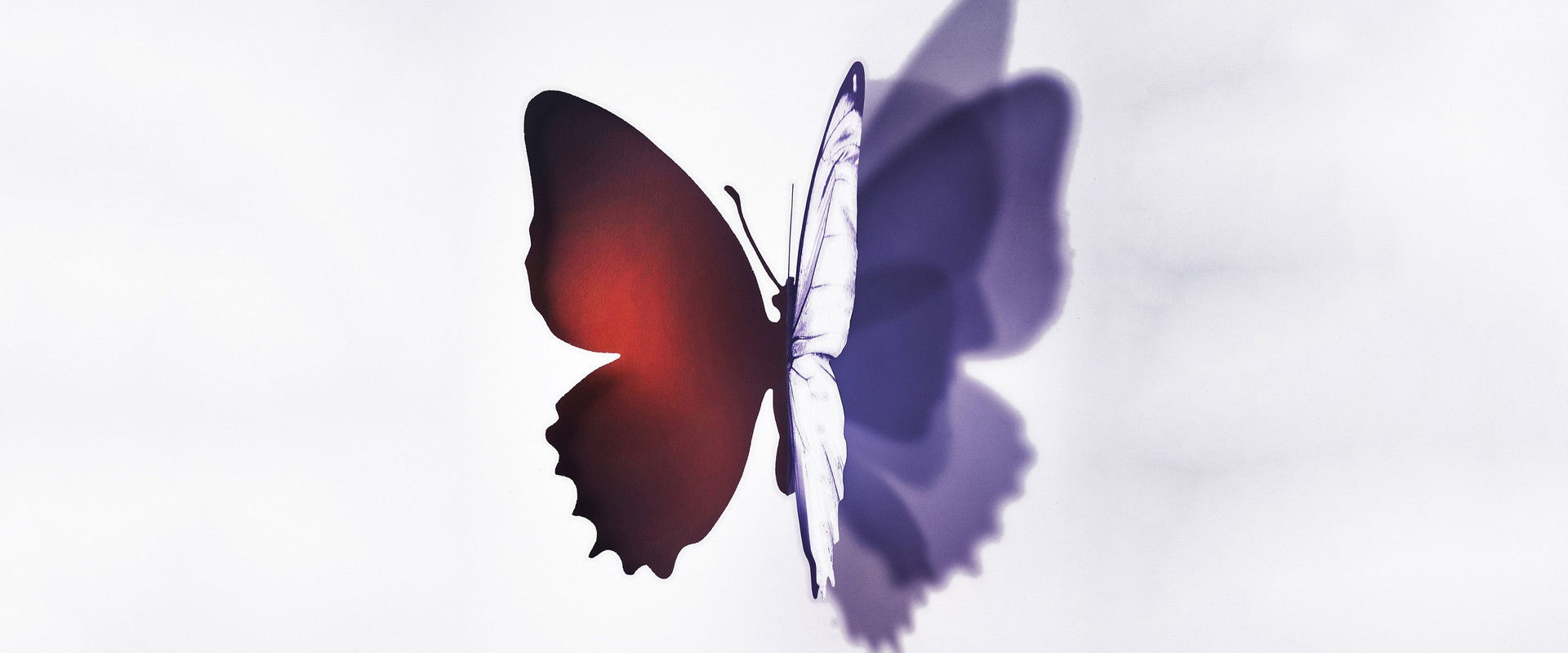 Complete Unknown's banner image