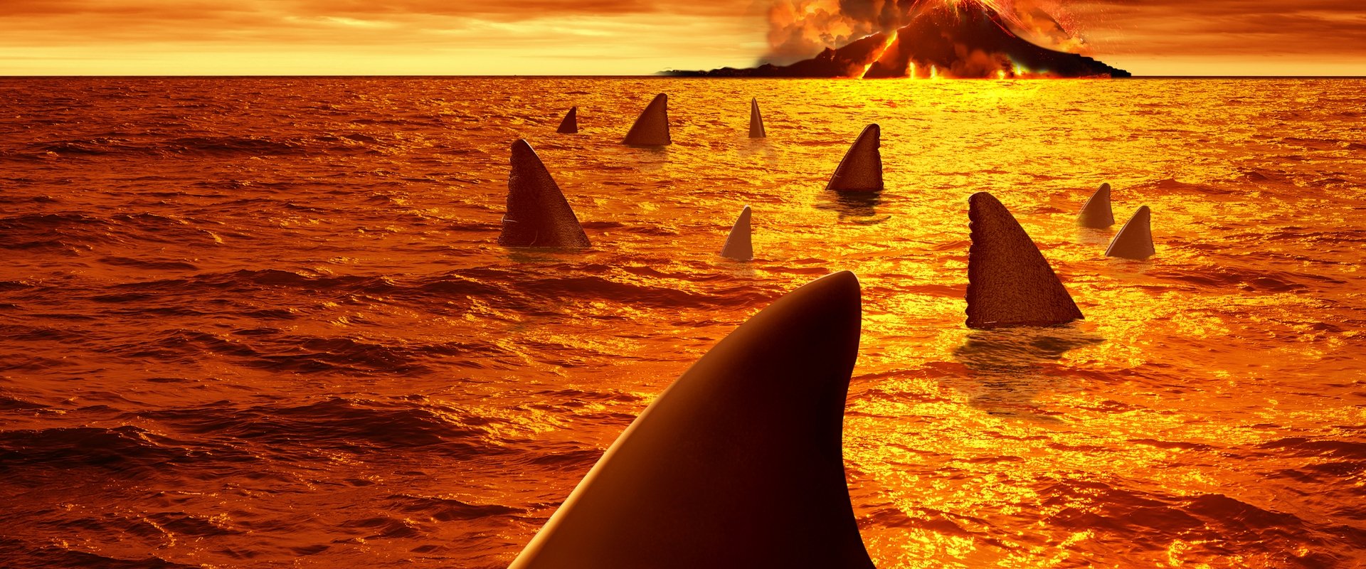 Sharkcano