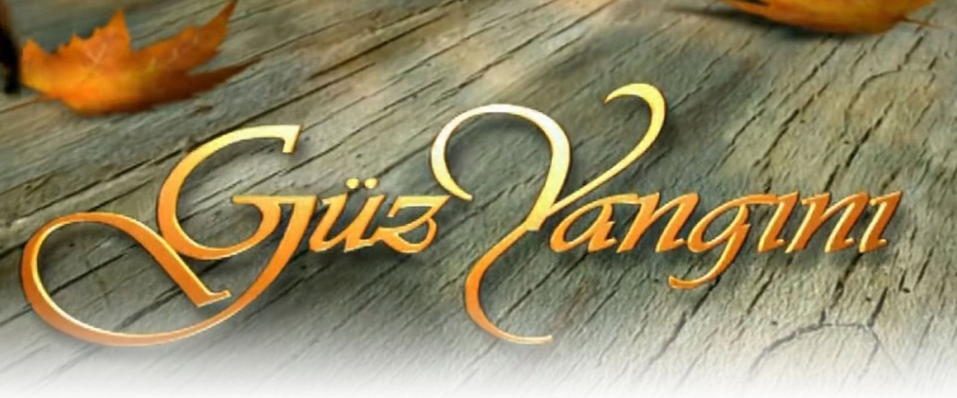 Güz Yangını's banner image