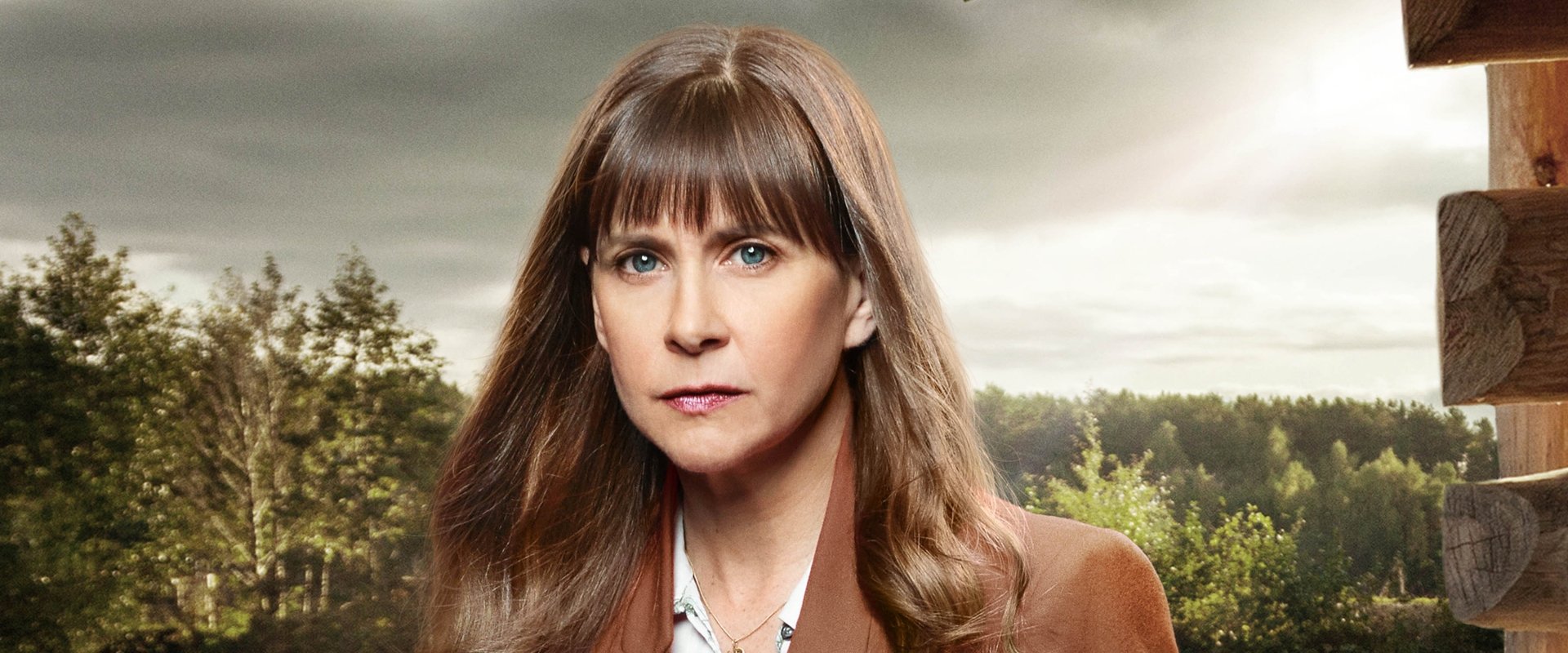 Hailey Dean Mysteries: A Will to Kill