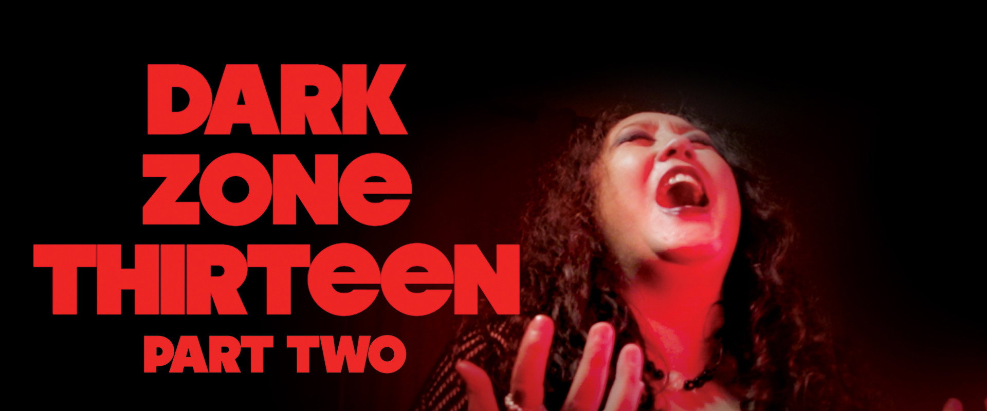 Dark Zone Thirteen Part 2's banner image